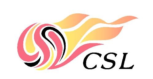 中超球员身价揭秘：明星外援与本土新星的定位分析