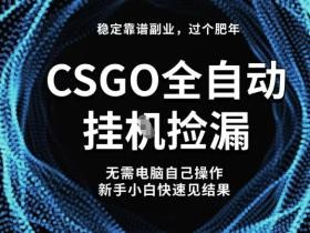 【稳定副业】全球最热门游戏CSGO全自动捡漏，最新玩法，新手小白日入5张+【揭秘】