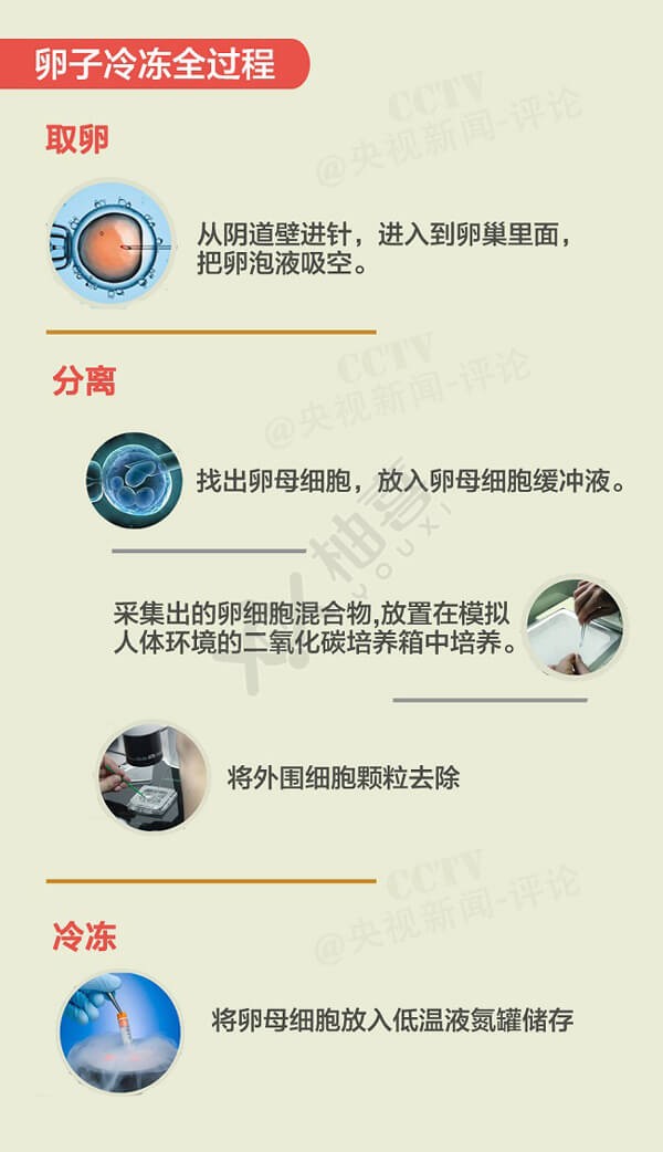 赴美冻卵过程