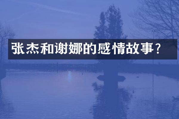 张杰和谢娜的感情故事？