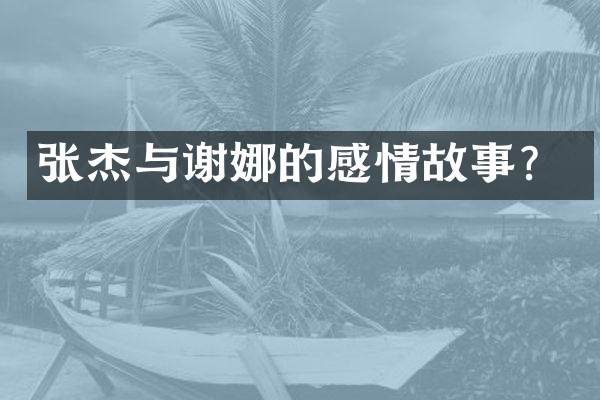 张杰与谢娜的感情故事？