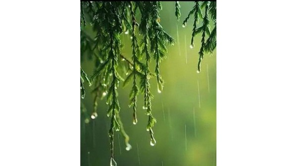 明星秋日慢生活曝光：温柔日常比你想象还治愈！