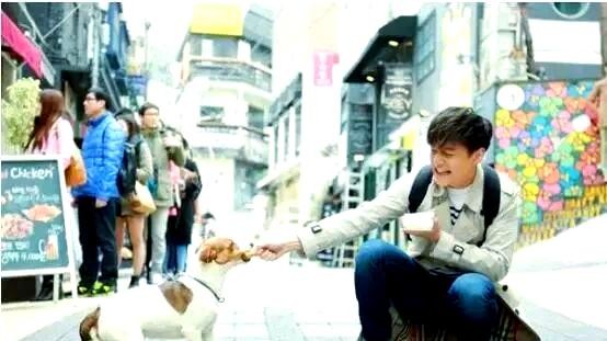 胡歌的持久人气与实力派魅力