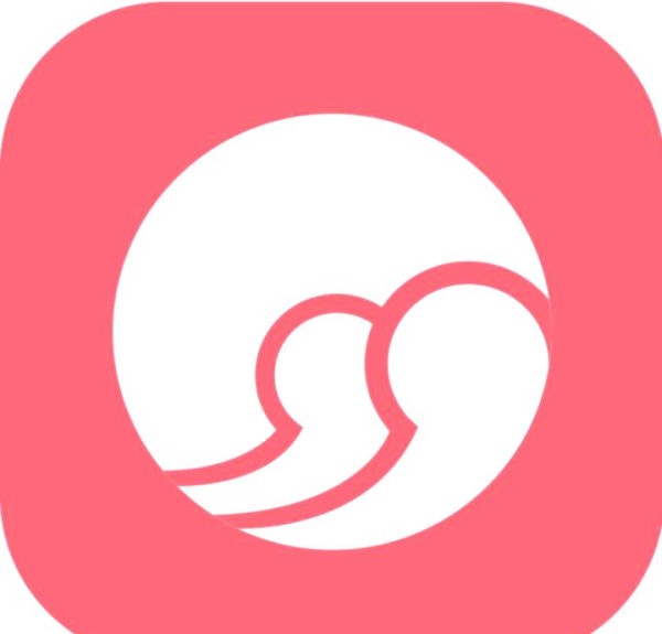 从职场小白到明星：努力与成功的典范