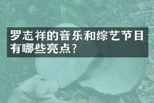 罗志祥的音乐和综艺节目有哪些亮点?