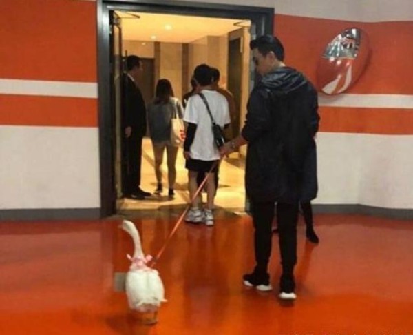 娱乐圈明星收到过哪些奇葩礼物，王俊凯哭笑不得？他的礼物最搞笑