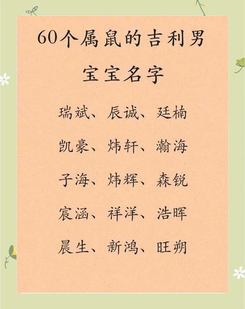 鼠年男宝宝起名名字大全