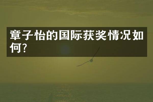 章子怡的国际获奖情况如何？