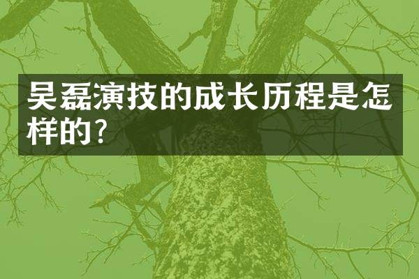 吴磊演技的成长历程是怎样的?