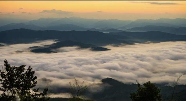 #揭秘音乐版权背后的黑色产业链