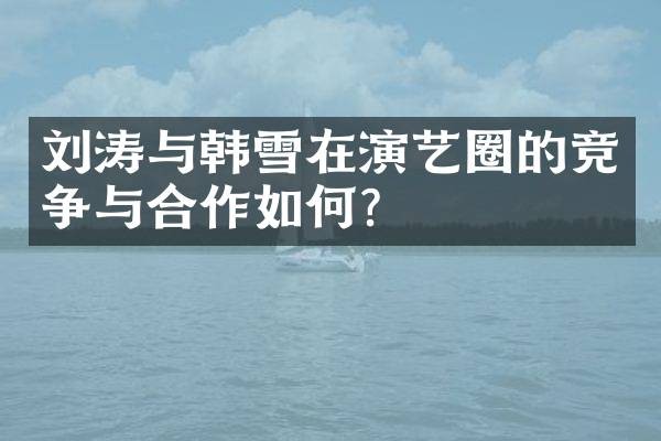 刘涛与韩雪在演艺圈的竞争与合作如何？