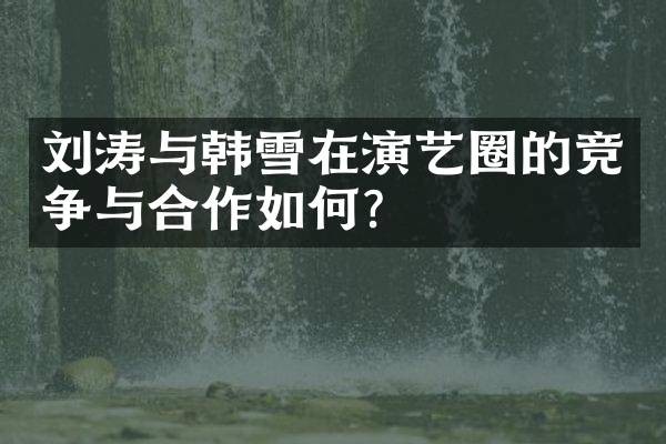 刘涛与韩雪在演艺圈的竞争与合作如何?