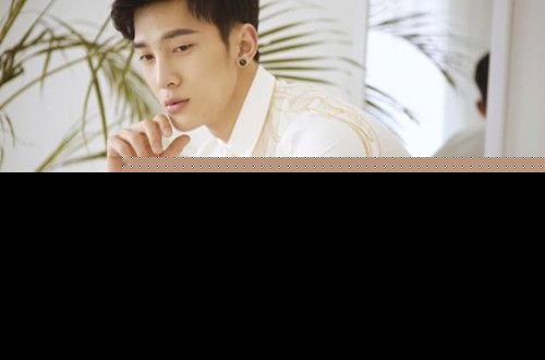 cosmos李向哲是谁个人资料作品介绍 李向哲和乙帅是什么关系?