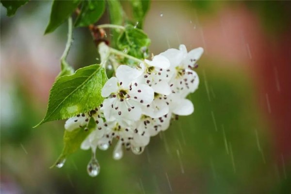 甘棠与段商屿：从好友到夫妻的情感之旅
