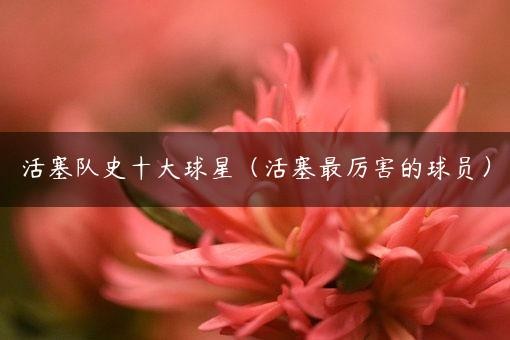 活塞队史十大球星（活塞最厉害的球员）