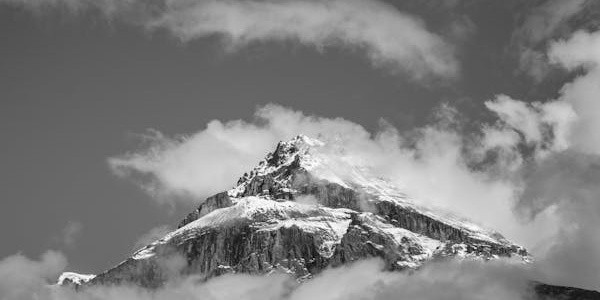 女明星都是怎么减肥的