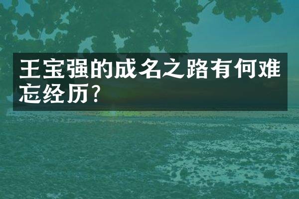 王宝强的成名之路有何难忘经历？