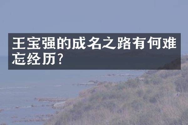 王宝强的成名之路有何难忘经历？