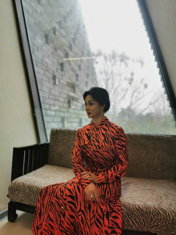 金星全英文演讲真霸气!一袭旗袍装好威风,国外小伙都忍不住偷看