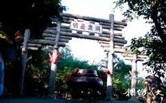 2025云南抚仙湖旅游攻略之明星景区