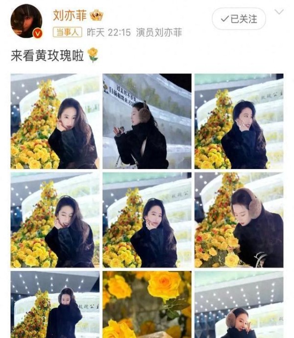 明星云集哈尔滨,旅游业逆袭背后的秘密与热潮!