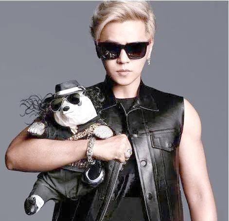 明星童年趣事回顾:那些不为人知的搞笑经历