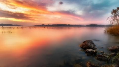 适合做明星的星盘