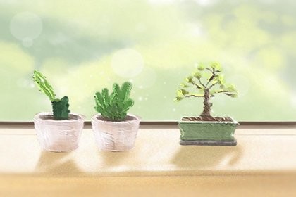 十二星座女星有哪些