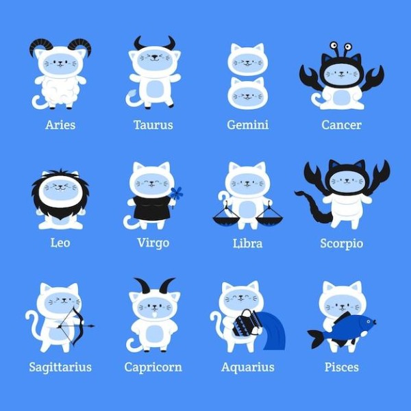 射手座男明星有哪些00后,射手座的当红明星 第3张