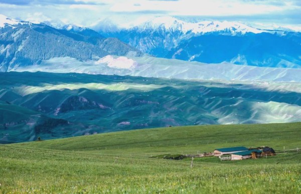 盛名之下难副：名声与实际能力的差距与影响