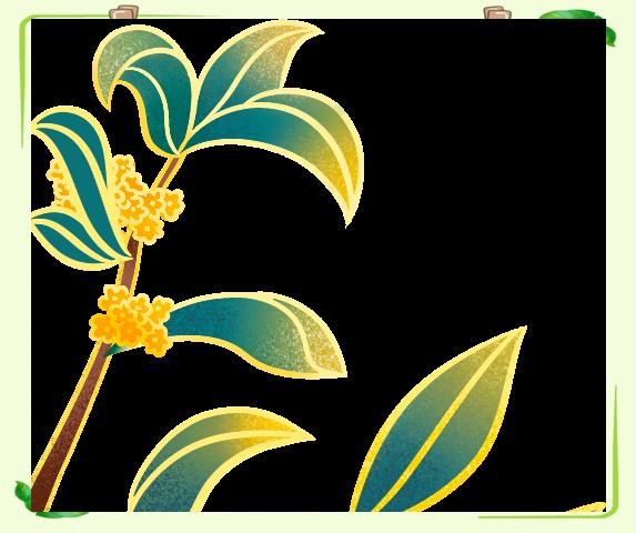 解析名人效应及其对大学生和广告的影响