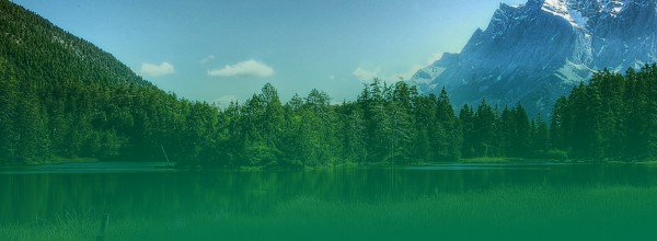 喜报！兔宝宝供应链公司荣获德清县服务业“明星企业”奖项