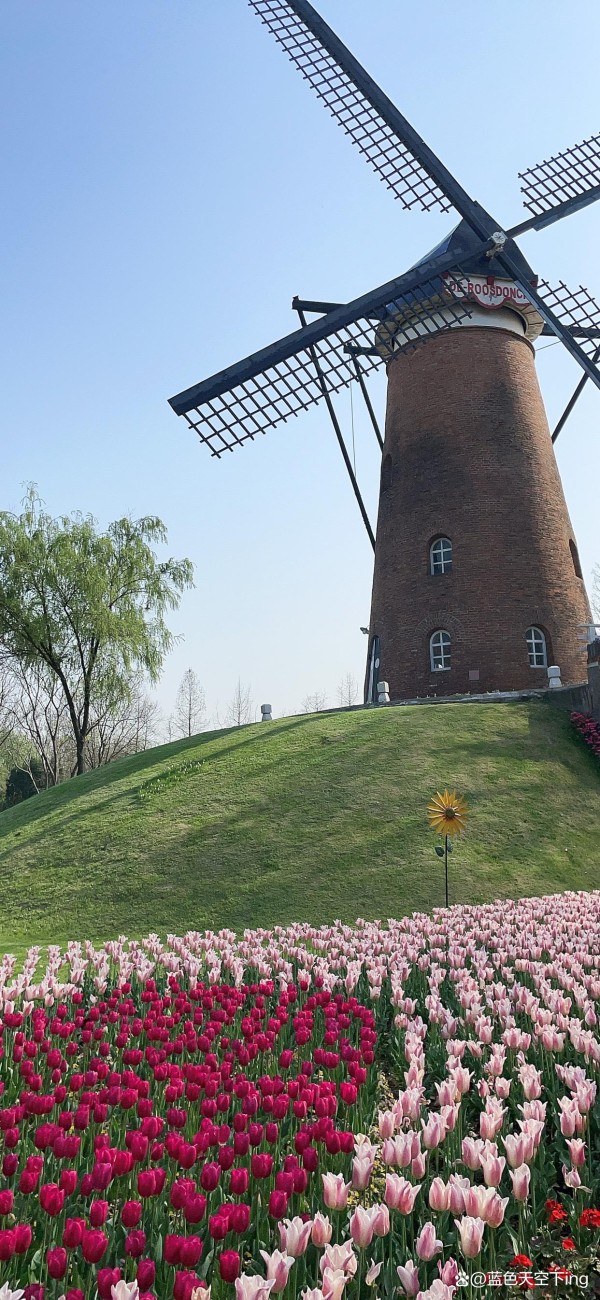 刘德华最经典国语歌曲前32首,不接受反驳