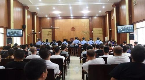 明星圈内动态：从官司到新剧上映的最新动态