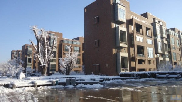 文章求复合？特意飞上海健身，自己住北京，马伊琍豪宅在上海！