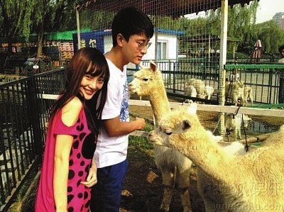 李小璐、贾乃亮