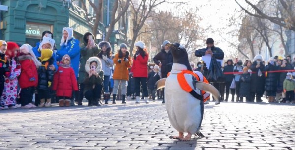 “淘学企鹅”巡游
