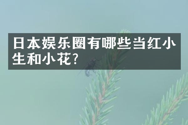 日本娱乐圈有哪些当红小生和小花?
