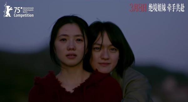 张子枫文淇刘浩存李庚希赵今麦——十字路口的00花