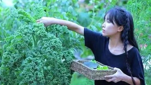 网红直播间在线前十名收入怎么样？盘点网红主播最新收入排行