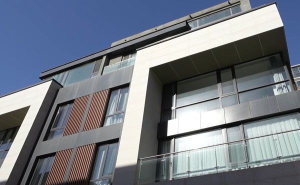 网聚泉城丨以AI重塑动漫生产 济南企业打造“妖精宇宙”新IP