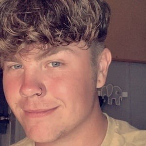 Sam Lybeck (TikTok明星)