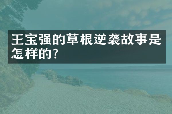 王宝强的草根逆袭故事是怎样的?