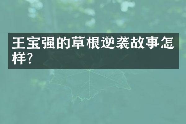 王宝强的草根逆袭故事怎样?
