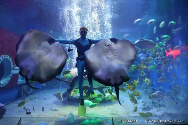 哈尔滨极地馆介绍