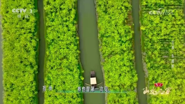 千年农耕智慧结晶,跟随鲁健解密东旺村“淤泥变沃土”的奇迹