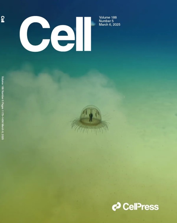 建全球唯一深渊生物大数据库并共享，中国科研成果登上Cell封面专辑