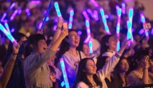 浅析青少年追星现象的思想成因分析,社会心理学论文