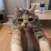 #明星大侦探# #娱...