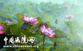 法治论坛2009年二季度摄影季赛评选结果揭晓